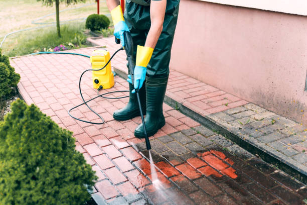 Best Soft Washing  in Danvers, IL